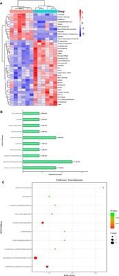 Dapagliflozin Reduces Apoptosis of Diabetic Retina and Human Retinal Microvascular Endothelial Cells Through ERK1/2/cPLA2/AA/ROS Pathway Independent of Hypoglycemic